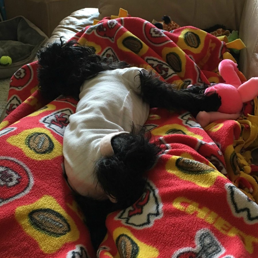 Panda, Yorkie-Poo, Baby Onesie, Stampin Up demo Lynn Tague, see card and gift ideas at BeyondBeachesandBlessings.com #BeyondBeachesandBlessings