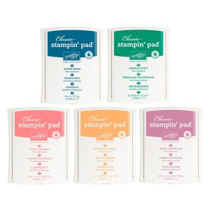 Stampin Up, Retiring 2016-2018 InColors, Card and Gift ideas designed by Demo Lynn Tague at BeyondBeachesandBlessings.com #BeyondBeachesandBlessings